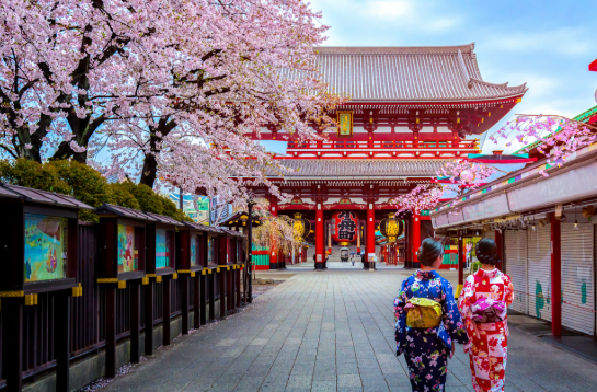 Kit “Hazlo Tú Mismo” – PASEO POR TOKIO - Imagen 3