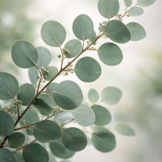 ChatGPT Image 23 feb 2026, 12_18_16